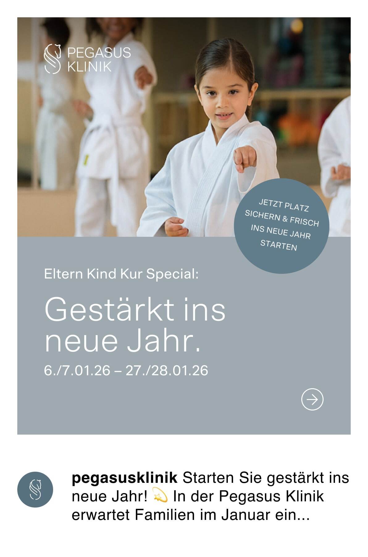 Instagram post pegasus 02 min