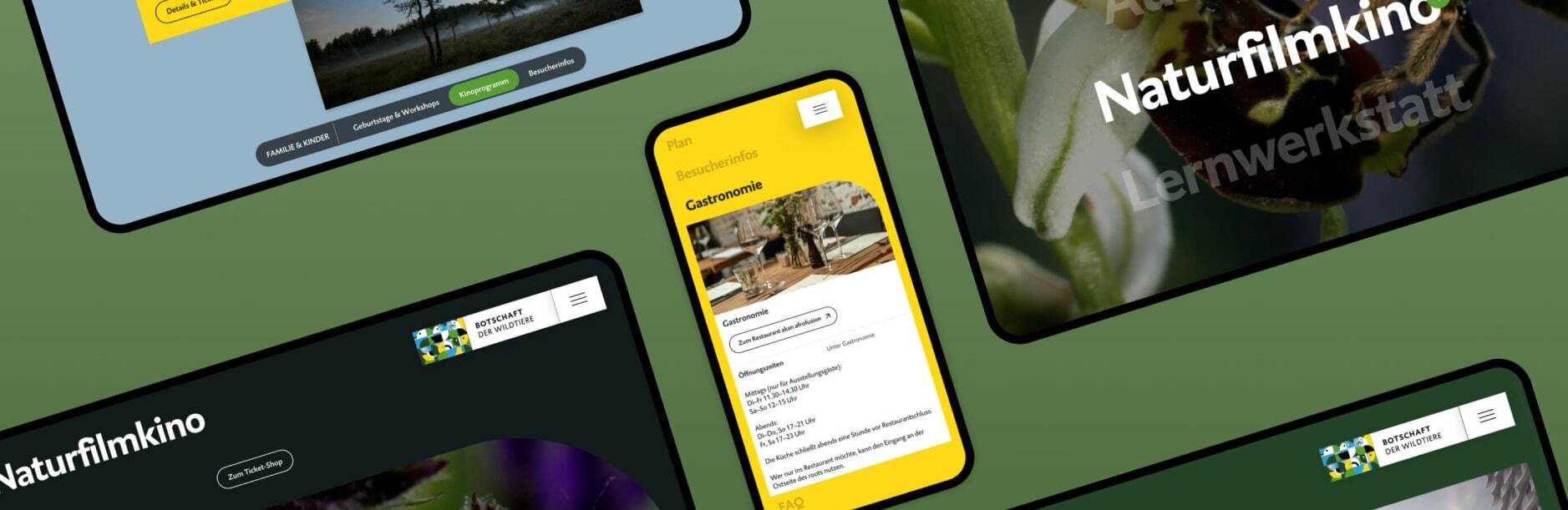 Ausstellungswebsite Responsive Sicht auf auf eine Ausstellungswebsite